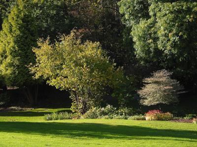 Royal Fort Gardens 2