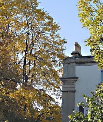 Autumn, Redland