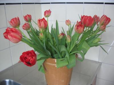 bloemen dag twee