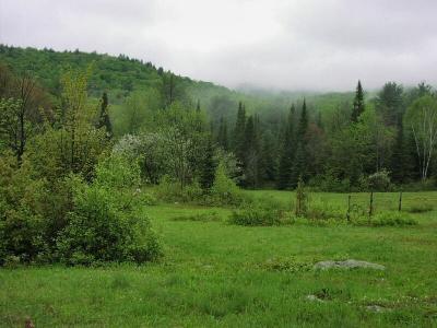 Green Scenes