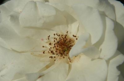 DSC_8817.JPG