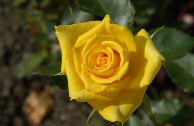 DSC_8818.JPG