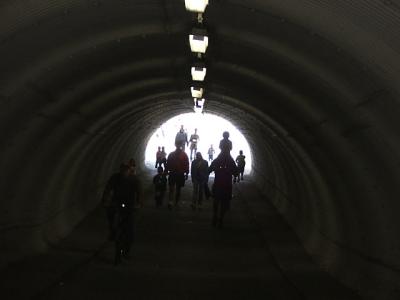 DSCF1208.JPG