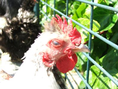 DSCF1228.JPG