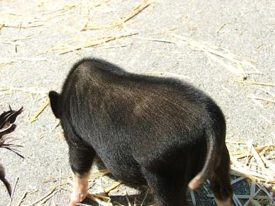 DSCF1258.JPG