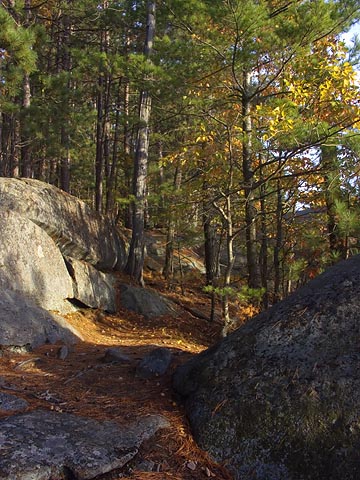 Algonquin Park Outlook 6031