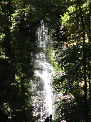 Berry Creek Fall - First of Three Falls (IMG_8361.JPG)