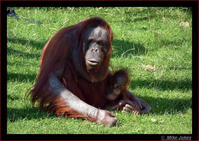 New arrival with Mum