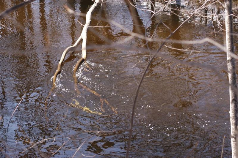 DSC_1458.jpg