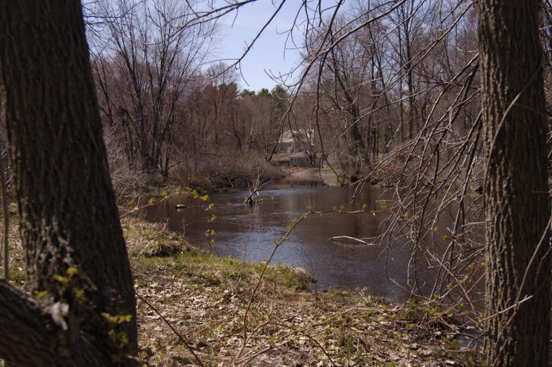 DSC_1601.jpg