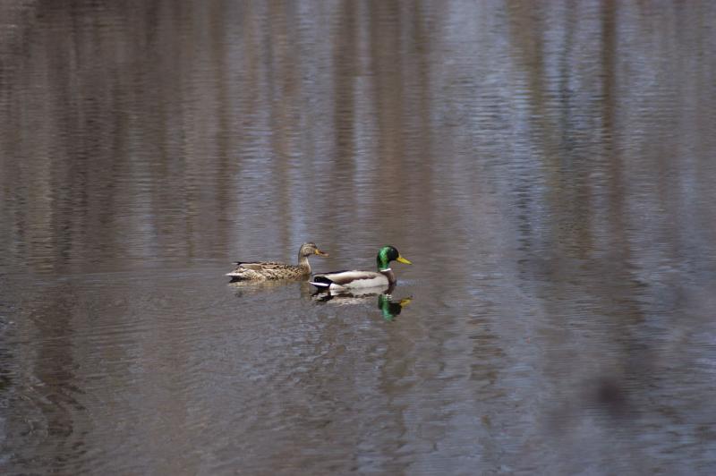 DSC_1606.jpg