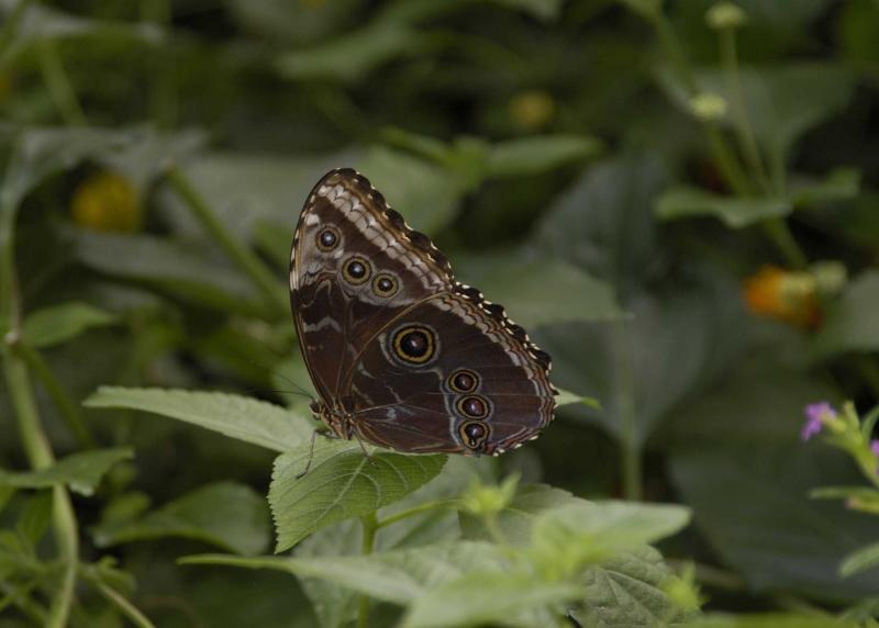 DSC_2099.jpg