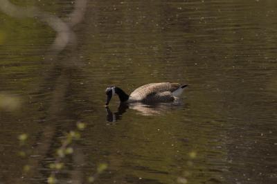 DSC_1852.jpg