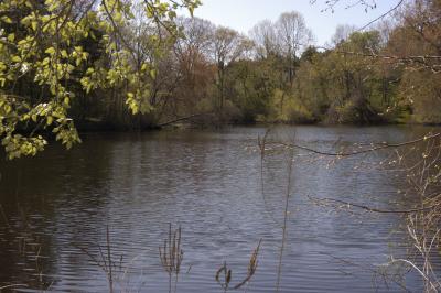 DSC_1865.jpg