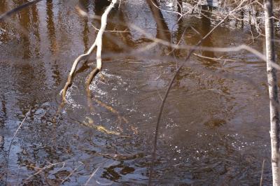 DSC_1458.jpg