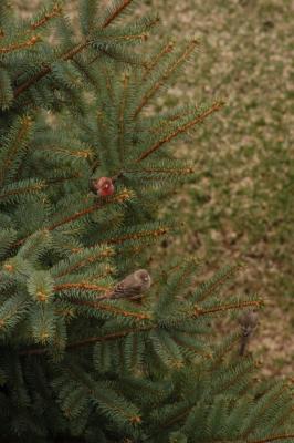 DSC_1509.jpg
