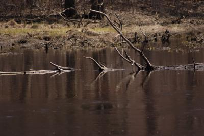 DSC_1584.jpg
