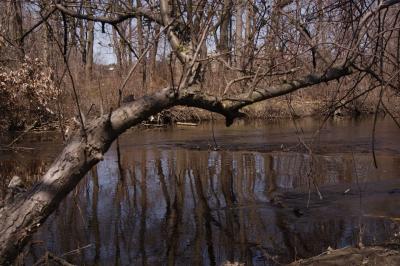 DSC_1603.jpg