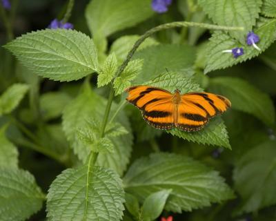 DSC_2093.jpg