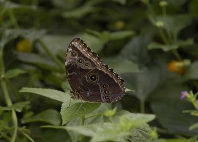 DSC_2099.jpg