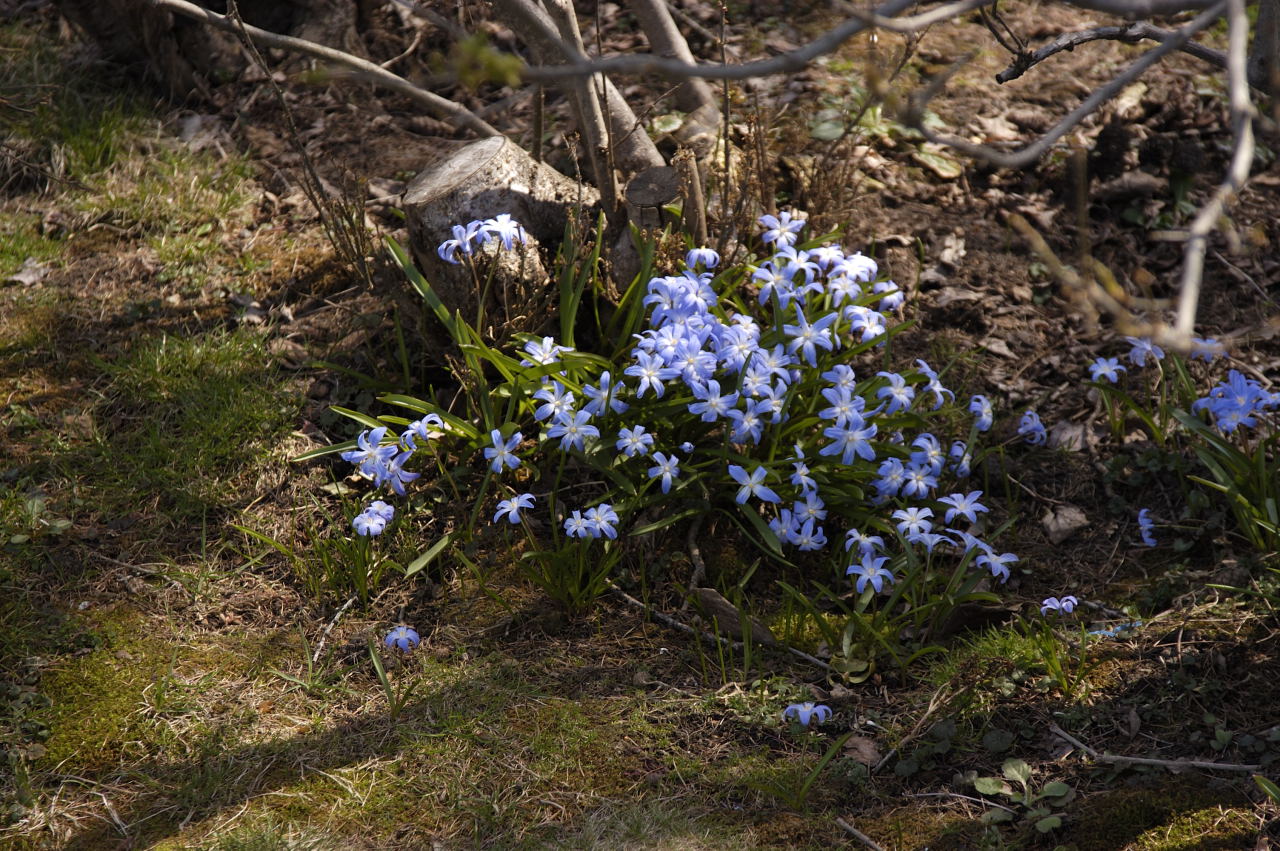 DSC_1541.jpg