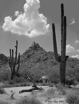 Pinnacle Peak