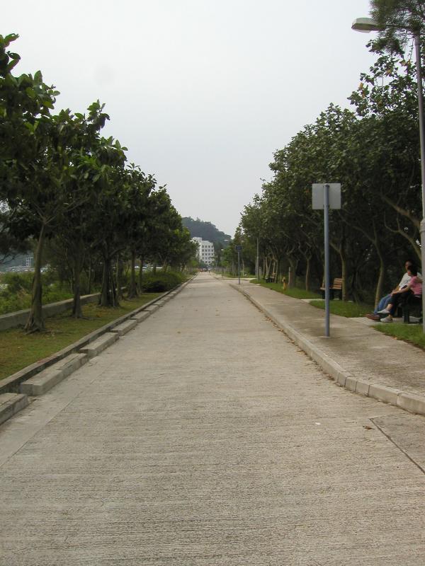 P6080075R.JPG