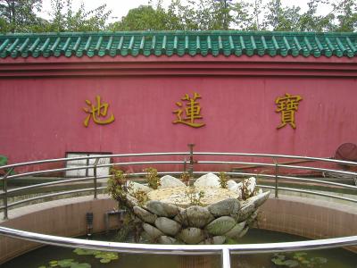 P6080055.JPG