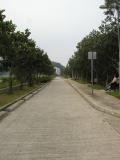 P6080075R.JPG