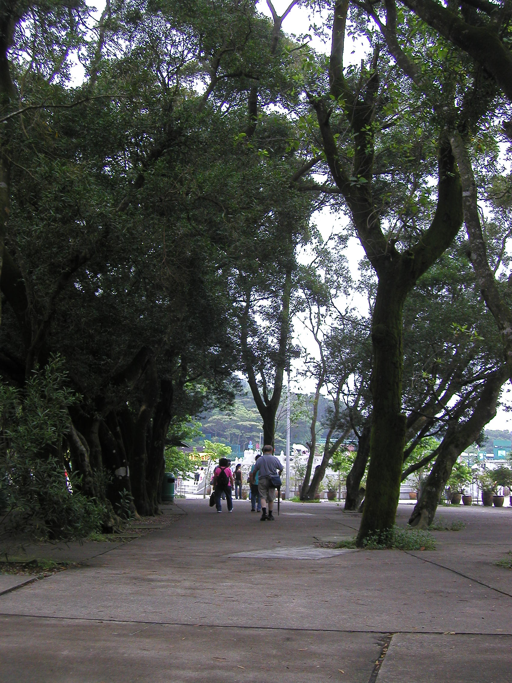 P6080063R.JPG