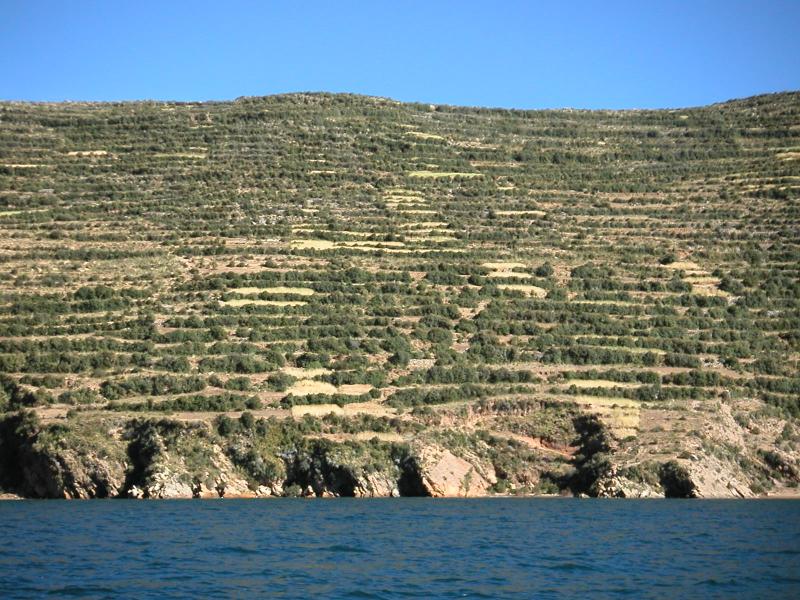 Terraced hills for farming