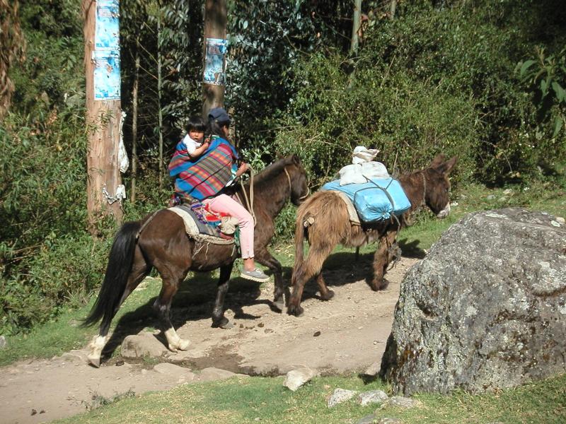 Locals pass on horseback