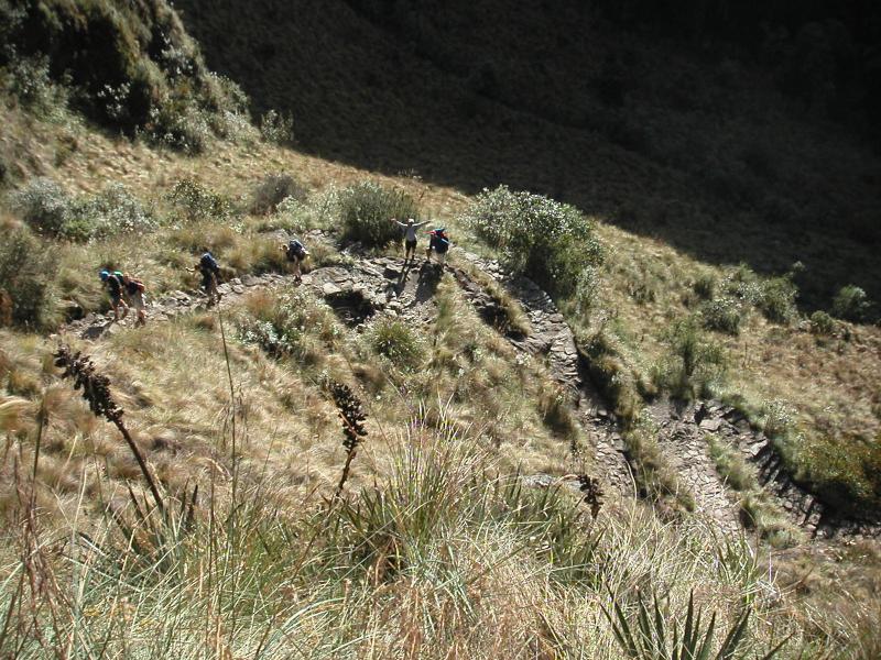 Tiny trekkers climbing up