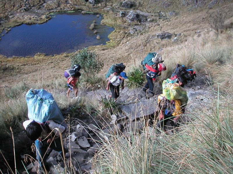 Tiny but strong porters racing upwards