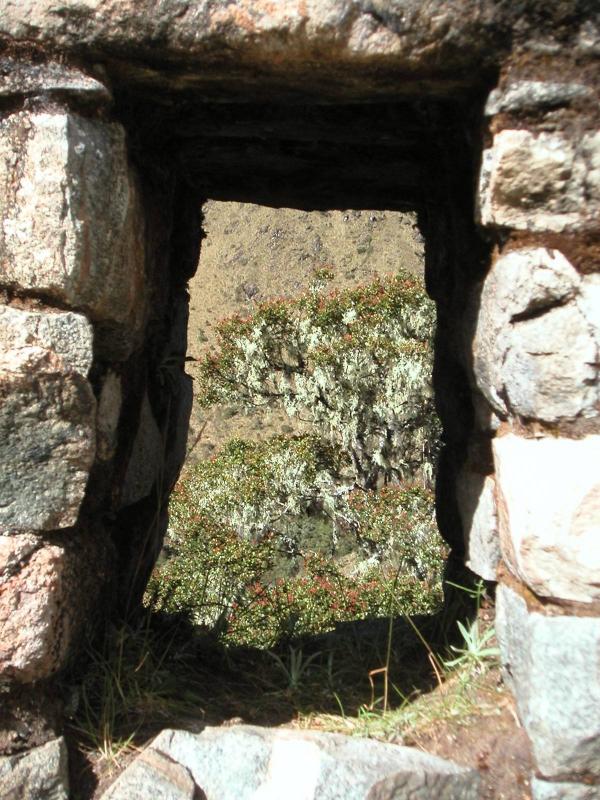 Trapezoidal window