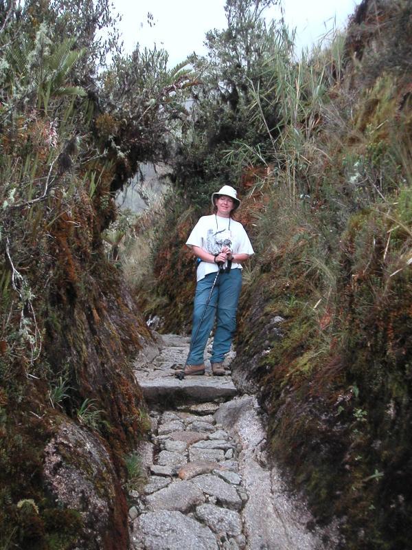 Inca moss tunnel