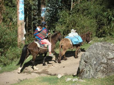 Locals pass on horseback