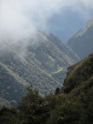 Inca terracing through the clouds