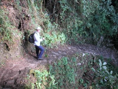 Those Inca stairs are great for the knees - NOT