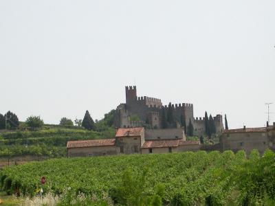 from the vine yard looking up to the castle -- Castello di Soave