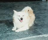 u29/mussetto/upload/17521118.meli10001.JPG