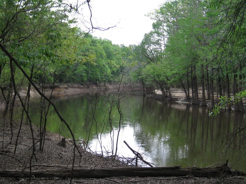 Down On the Bayou