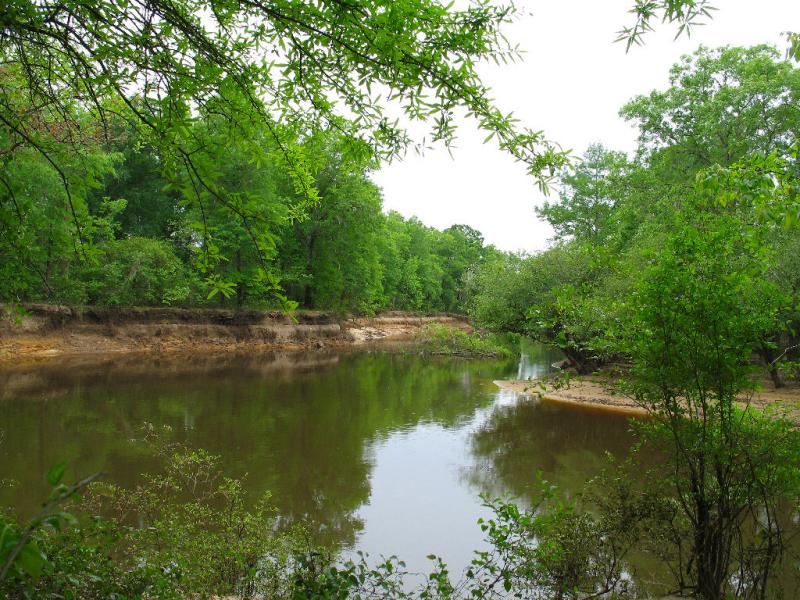  View On The Bayou *