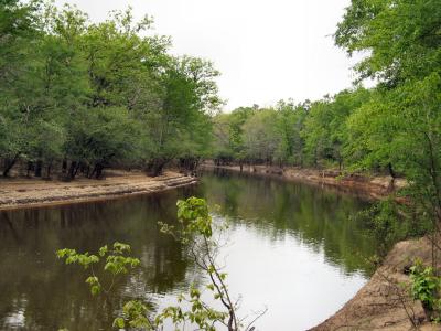 On The Bayou