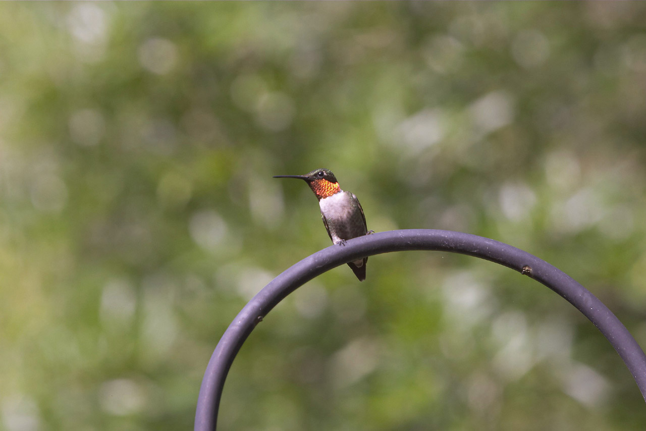 CRW_3281.jpg