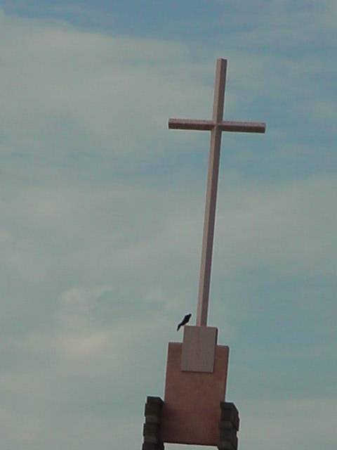 a bird and God <br>