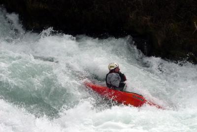 gummi dazed in tottafoss