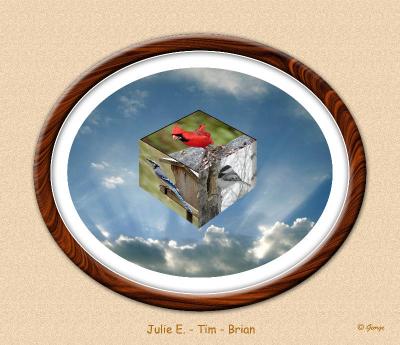 Bird Cube 02 Oval Frame.jpg