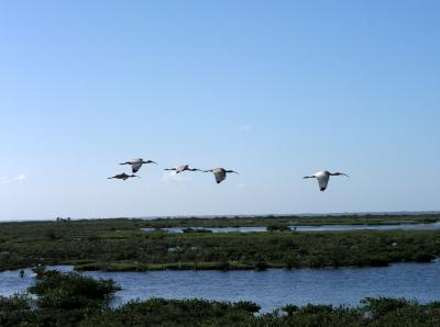 Flyover of Floridaby DeagleDave