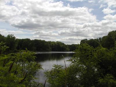 Cloudy Riverby Michael Meissner